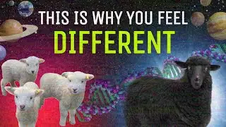 Почему система Human Design меняет жизнь эмпатов, детей с особыми способностями и нейроотличиями.