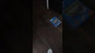 Funny kid 😂 KILL THE SNAKE!!!