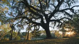 Crosby Land Company | Trusted Southeast Land Brokerage