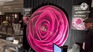 GRAND RAPIDS ART PRIZE 2025 #fypage  #artprize