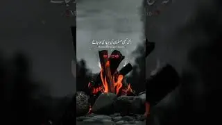 Islamic short vidoe [Islamic.Status]