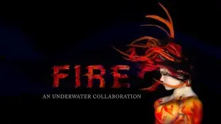 An Underwater Collaboration