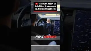 The Truth About EV Subsidies: Government vs. Private Investment #shorts