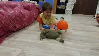 20170304 204830