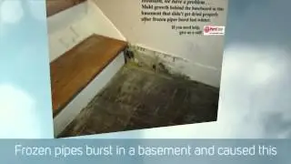Mold damage in your home is dangerous! Get it removed safely