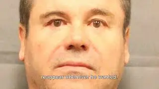 Godfather El Chapo  Rise and Fall of a Cartel King