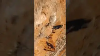 ⚡Beto_fpv  keeping it tight through the Palo Duro Canyon State Park!⚡  - MaxAmps.com