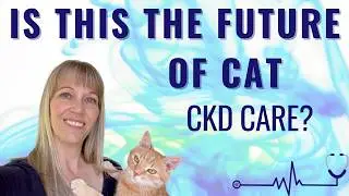 Is Your Vet Still Treating Your Cat Like a Small Dog?