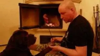 Labradorinnoutaja Hugo & P&auml;iv&auml;n kooste
