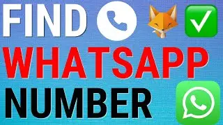 How To Find Your WhatsApp Number