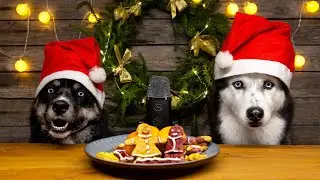 Christmas Treats For Dogs!  Husky Reviews Food