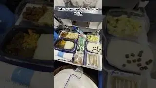 KLM Boeing 777-200 Economy Class Review | Amsterdam to Dubai