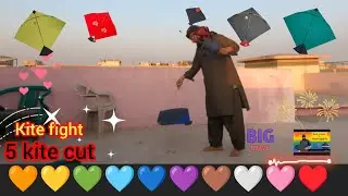 Kite fight 5 kite cut||kite flying||lahor basant🪁