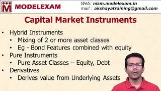 Capital Market Instruments