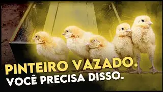 PASSO A PASSO para um PINTEIRO DE MADEIRA SIMPLES.