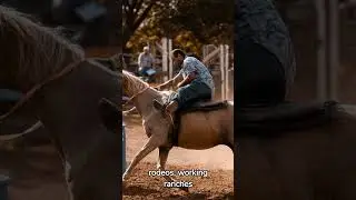 Learn more about American Quarter Horses #factfast #companion #robust #therapeutic #