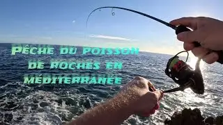 p&ecirc;che du poisson de roches 4K ( sar m&eacute;rou...) #p&ecirc;che #m&eacute;diterran&eacute;e #berkleyfishing