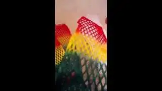 Wax mesh