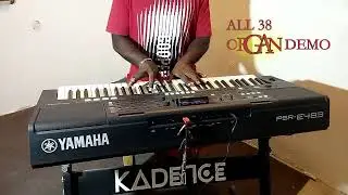 YAMAHA psr e-483 | all 38 organ voice demo