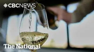 B.C. wineries expect banner year after provinces yank U.S. booze