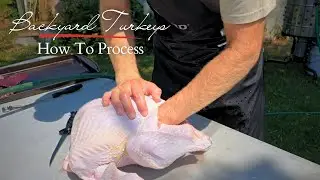 How to Butcher a Turkey: Step-by-Step Guide