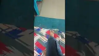 reality is fake
