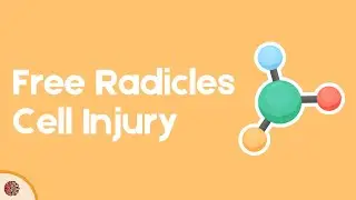 Free Radical-Mediated Cell Injury: Mechanisms and Pathology Explained