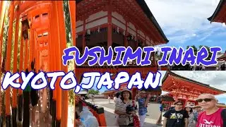 FUSHIMI INARI TAISHA TOUR IN KYOTO JAPAN🇯🇵||Cara Maila Italia #japan #kyoto #family #summervacation