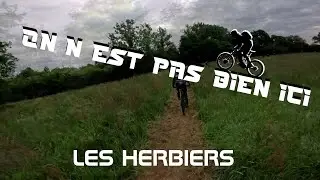 LES HERBIERS - 2025