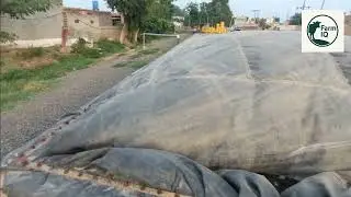 Biogas Plant with a dairy farm
