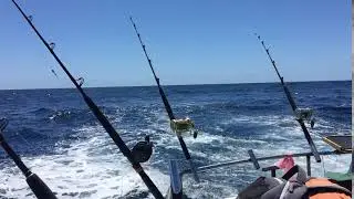 Trolling for Marlin