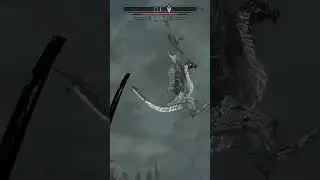 I defeat Mirmulnir the dragon (SKYRIM - MASTER DIFFICULTY)