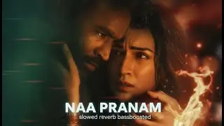 Naa Pranam 🥀 | Tera Ishq Mein | Slowed + Reverb | Emotional Vibes