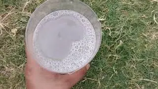 How to Make Plants Grow FASTER | Instant Fertilizer | SAHomeGarden