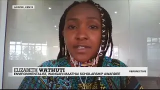 Elizabeth Wathuti, the 23-year-old climate activist planting trees in Kenya