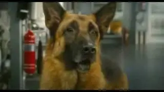Cani & Gatti: La Vendetta Di Kitty - Trailer