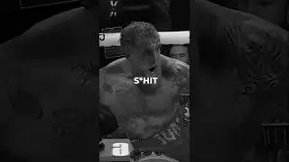 Joe Rogan on Jake Paul's reaction after the knockout