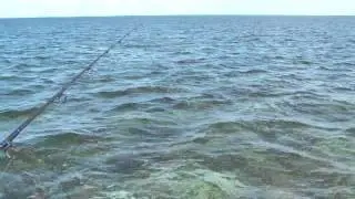 Florida Keys shark fishing with Capt. Chris Johnson & SeaSquared Charters 5/30/11 Part 1