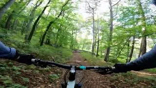 Alte Rodelbahn Anninger