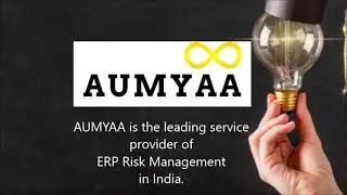 ERP Risk Management