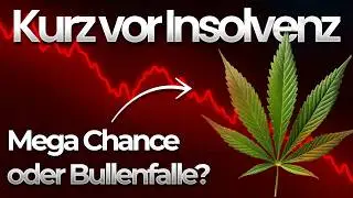 Canopy Growth with over 20% increase! Dead cat bounce or breakout?