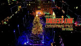 THE BIG COWTOWN COUNTDOWN:  Sundance Square Christmas Tree Lighting 2024!