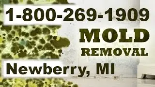 Mold Removal Newberry MI 1-800-269-1909 | Mold Remediation Newberry Michigan