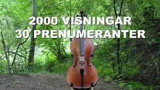 2000 VISNINGAR & 30 PRENUMERANTER | musikvideo: hallelujah