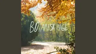 Botanisk Hage