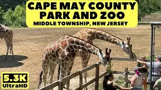 Cape May County Park And Zoo | Cape May, New Jersey
