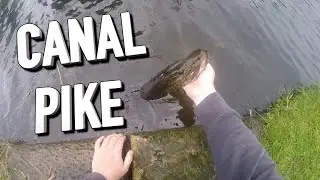You Will Catch More Canal Pike On This Lure: With This Light Set-up
