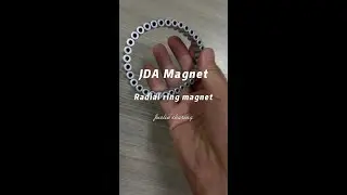 Radial ring magnet