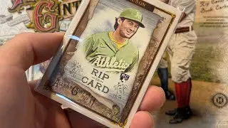 2025 Topps Allen & Ginter  繼續尋找大谷 ! RIP卡