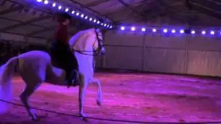 SPECTACLE EQUESTRE -DOMAINE STAMBACH-SYLVIE JACOB-1/6-DOMAINE DE RABREUX-116-